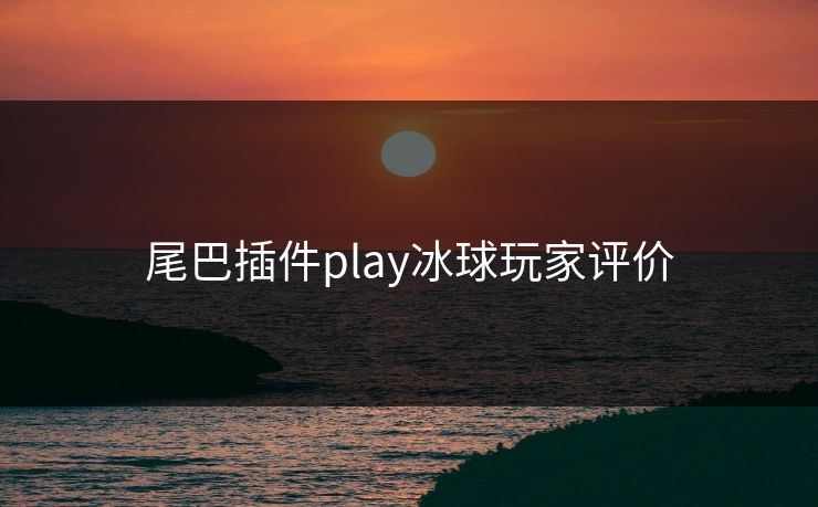 尾巴插件play冰球玩家评价  第1张