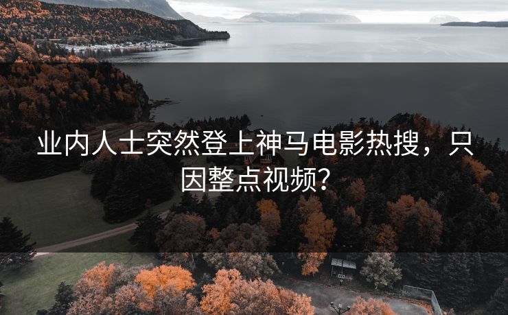 业内人士突然登上神马电影热搜，只因整点视频？