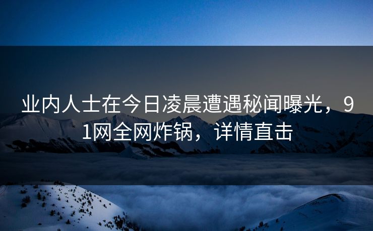 业内人士在今日凌晨遭遇秘闻曝光，91网全网炸锅，详情直击