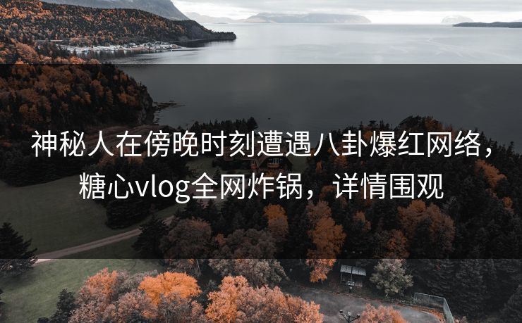 神秘人在傍晚时刻遭遇八卦爆红网络，糖心vlog全网炸锅，详情围观
