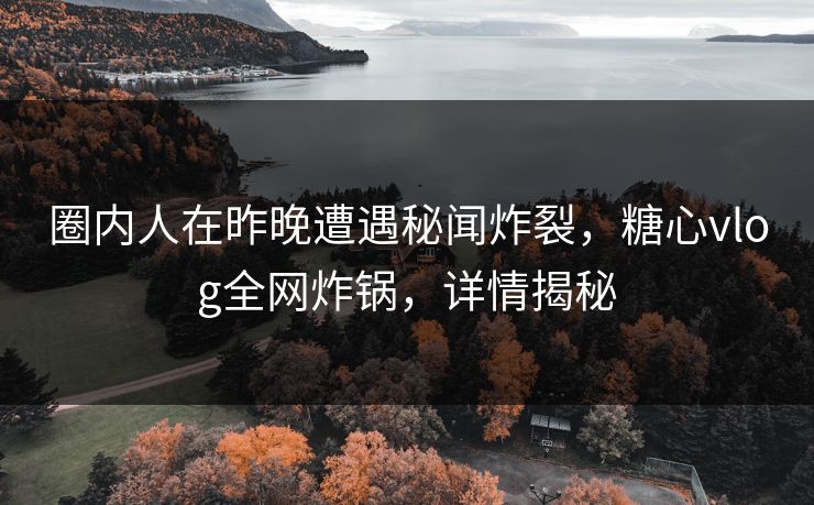 圈内人在昨晚遭遇秘闻炸裂，糖心vlog全网炸锅，详情揭秘