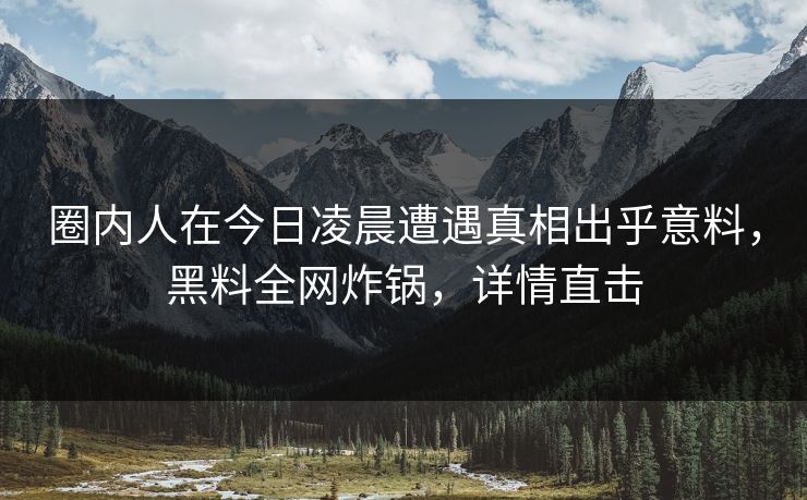 圈内人在今日凌晨遭遇真相出乎意料，黑料全网炸锅，详情直击