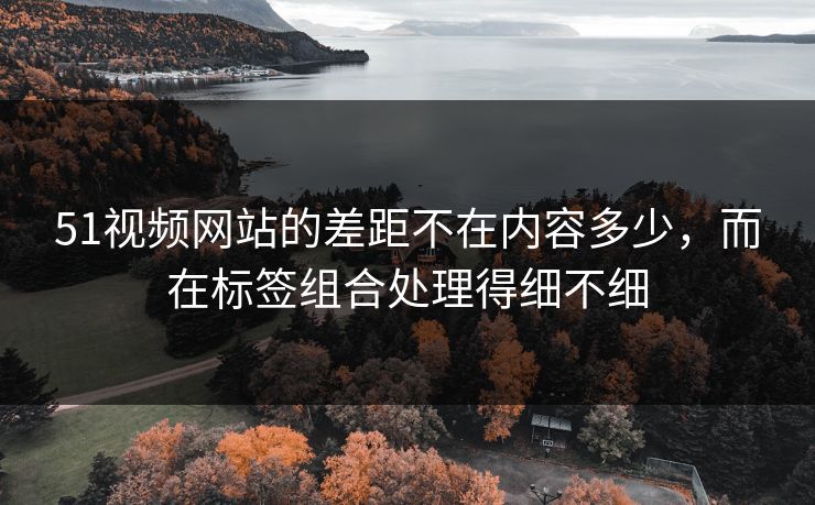 51视频网站的差距不在内容多少，而在标签组合处理得细不细