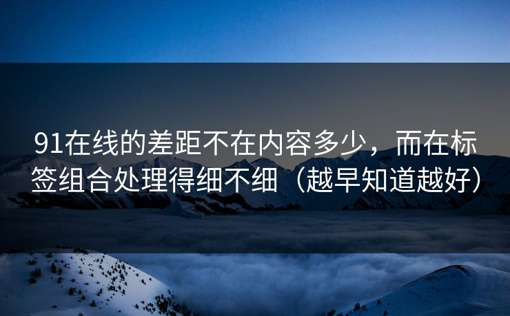 91在线的差距不在内容多少，而在标签组合处理得细不细（越早知道越好）